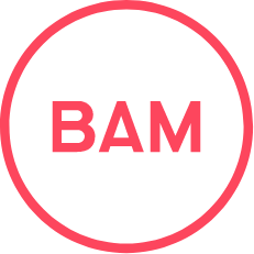 Bam logo